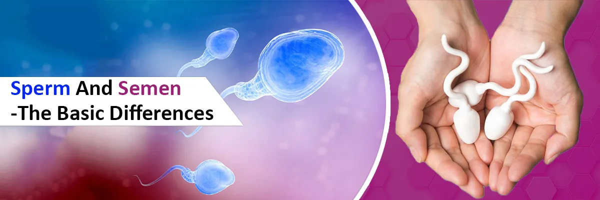 Sperm and semen - the basic difference, mumbai