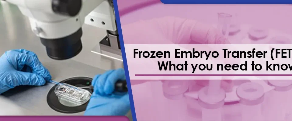 Frozen Embryo Transfer