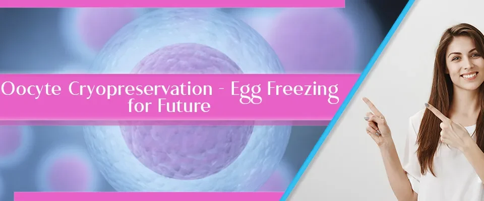 Oocyte Cryopreservation