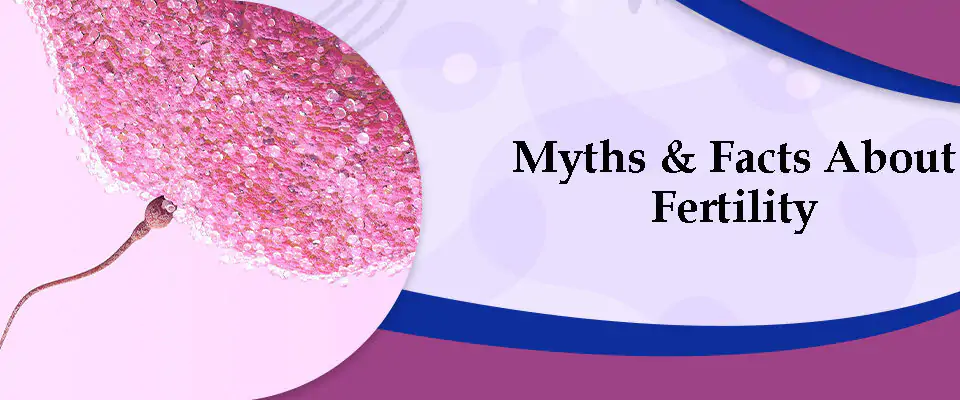 Myths & Facts About Fertility