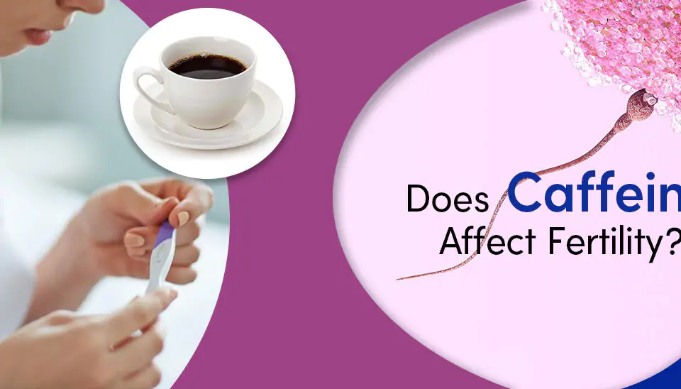Does Caffeine affect Fertility?