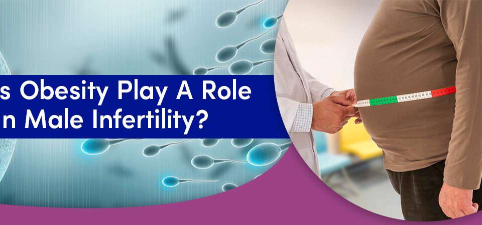 Does Obesity Play A Role In Male Infertility?