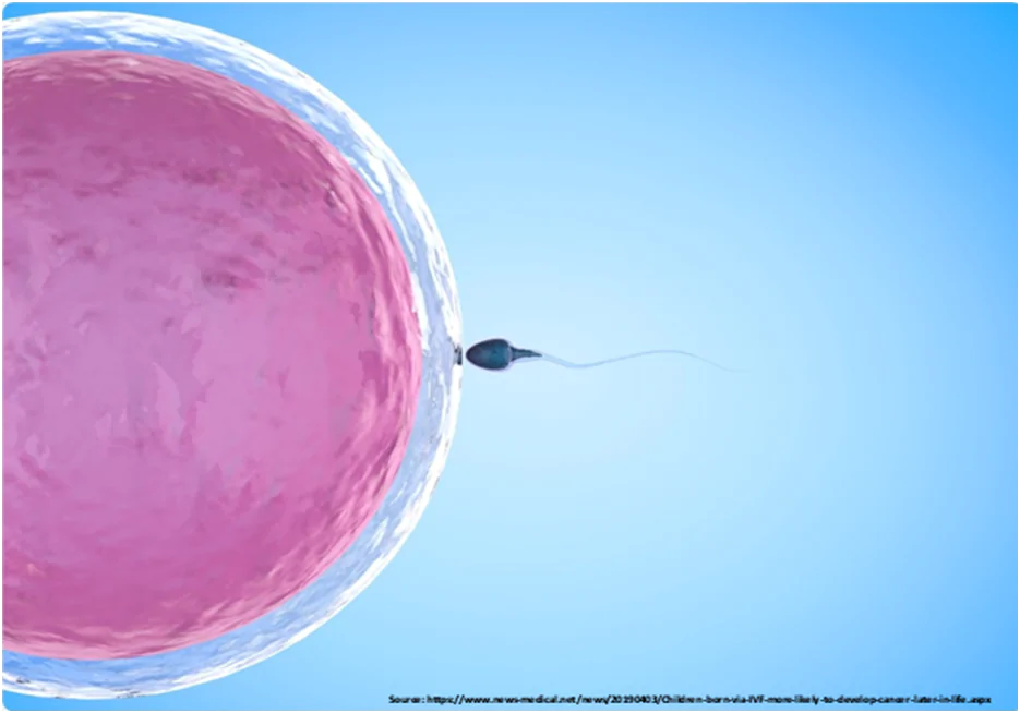 ivf treatment 