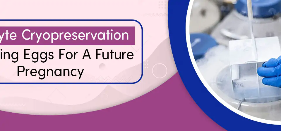 Oocyte Cryopreservation – Freezing Eggs For A Future Pregnancy