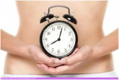 Oocyte Cryopreservation – Freezing Eggs For A Future Pregnancy