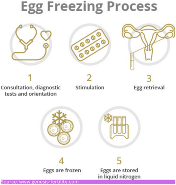 egg freezing process