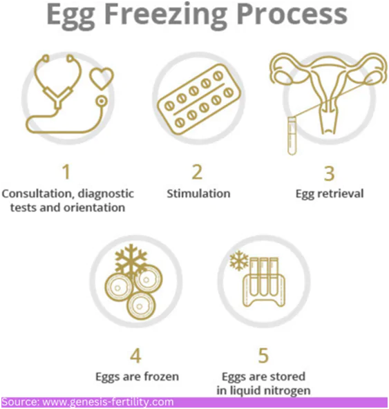 egg freezing process