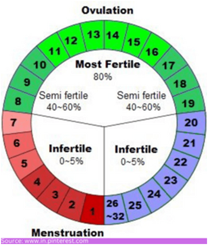 calculate the fertile window