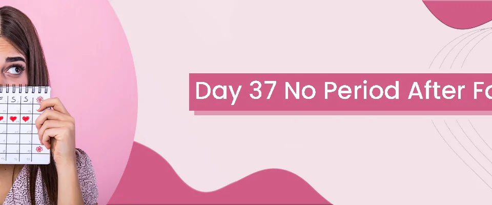 Day 37 No Period After Failed IVF
