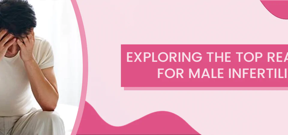 Exploring the Top Reasons for Male Infertility