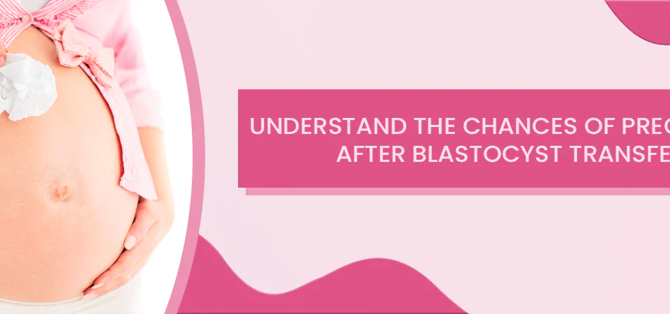 Chances of Pregnancy after Blastocyst Transfer