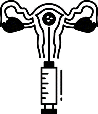 Embryo Assessment and Transfer