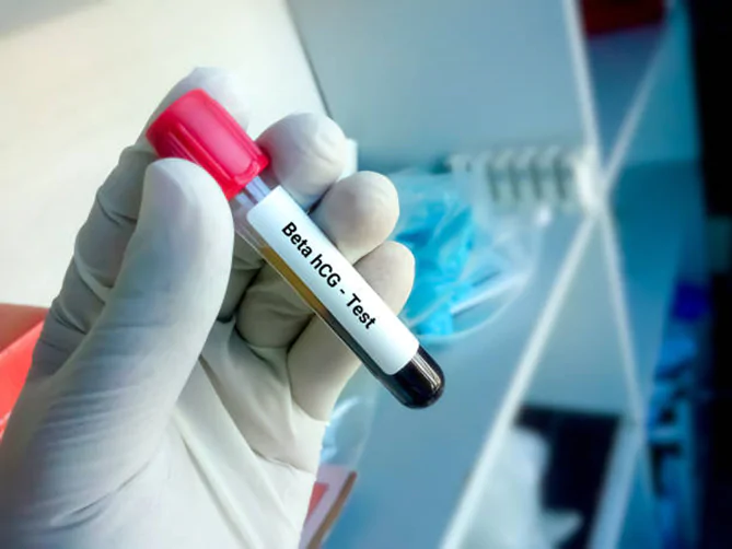 embryo transfer | Babies & Us Fertility blastocyst stage