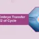 Frozen_Embryo_Transfer_on_Day_22 | Babies & Us Fertility Frozen Embryo Transfer On Day 22