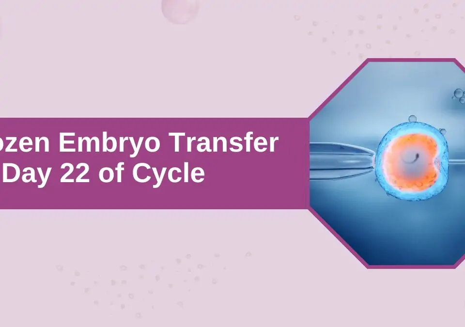 Frozen Embryo Transfer On Day 22