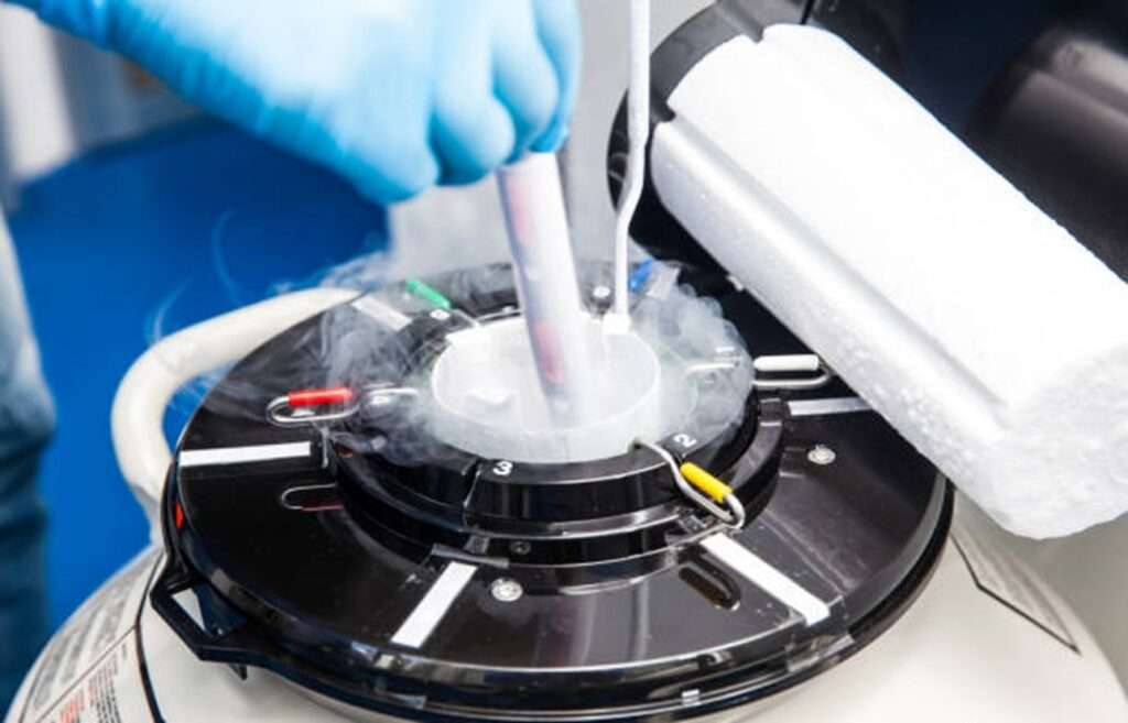 Benefits of Frozen Embryo Transfer on Day 22 of Cycle