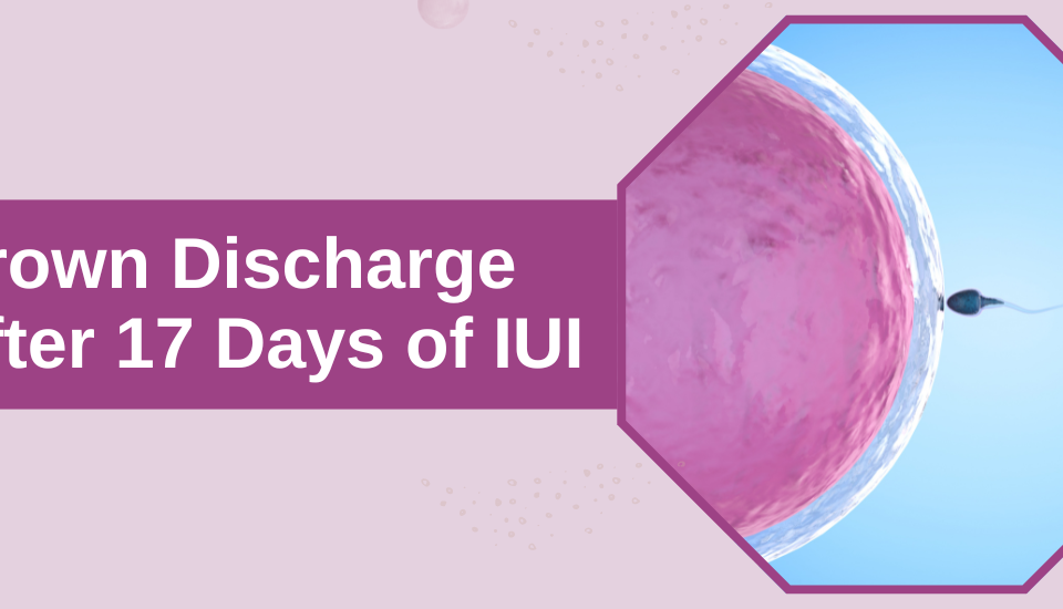 Brown_Discharge_After_17_Days_of_IUI