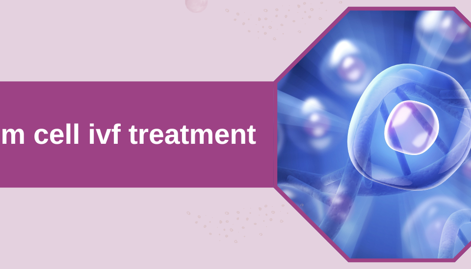 Stem cell ivf treatment