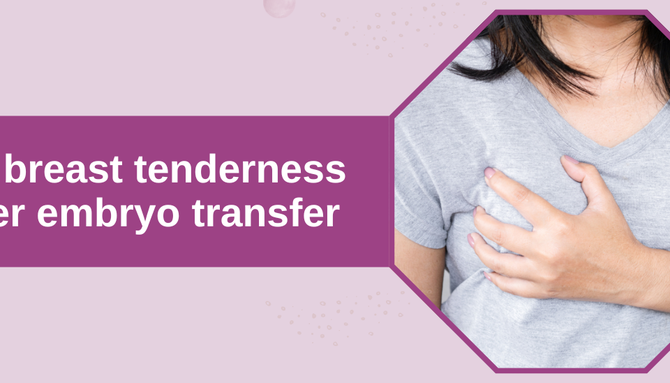 no breast tenderness after embryo transfer