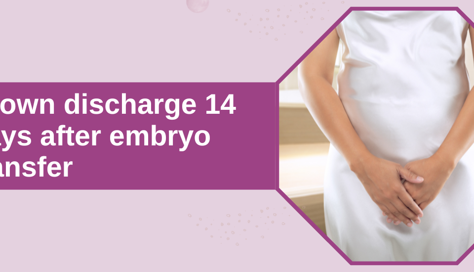 Brown discharge 14 days after embryo transfer