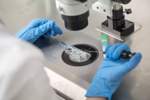 IVF