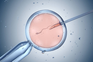 fertilization