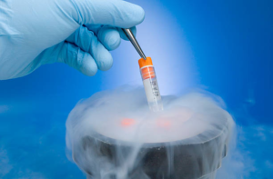 freezing eggs