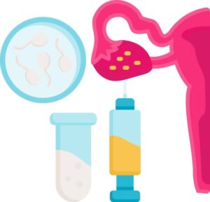 Frozen Embryo Transfer (FET)