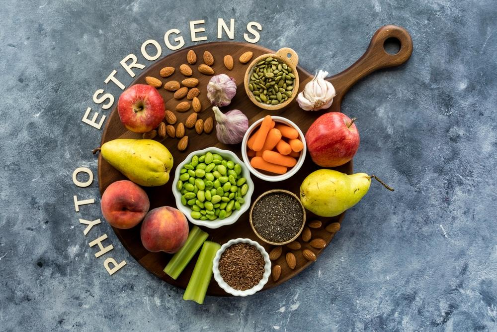 PHYTO ESTROGENS FOOD