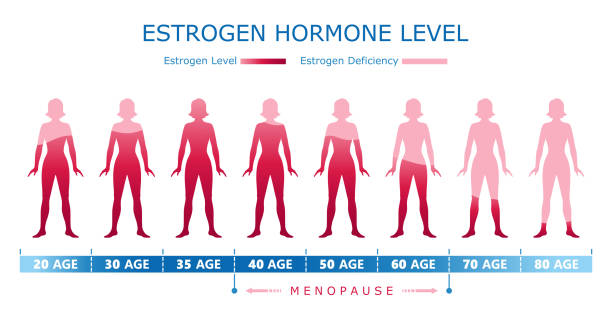 Estrogen Hormone