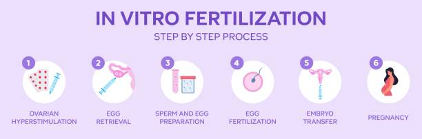 IVF
