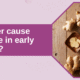 Does ginger cause miscarriage banner