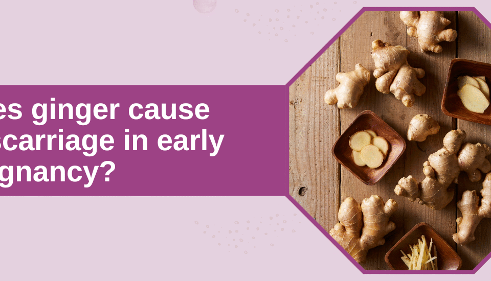 Does ginger cause miscarriage banner